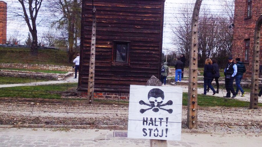 concentratiekamp auschwitz